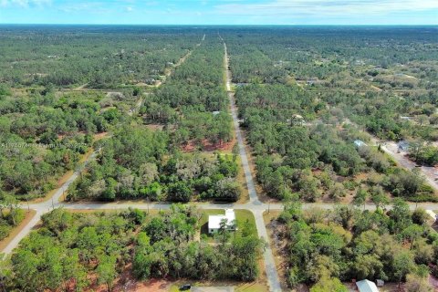 Land in Lehigh Acres, Florida № 2164293 - photo 18