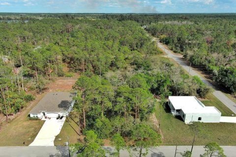 Land in Lehigh Acres, Florida № 2164293 - photo 11