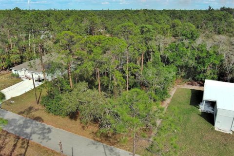 Land in Lehigh Acres, Florida № 2164293 - photo 6