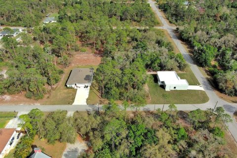 Land in Lehigh Acres, Florida № 2164293 - photo 15