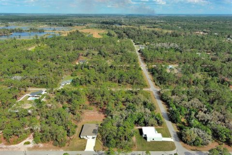 Land in Lehigh Acres, Florida № 2164293 - photo 17