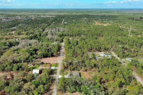 Land in Lehigh Acres, Florida № 2164293 - photo 20