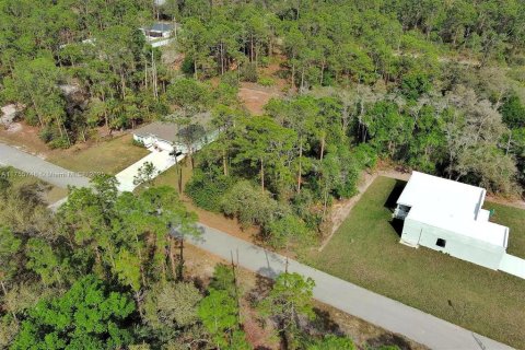 Land in Lehigh Acres, Florida № 2164293 - photo 9