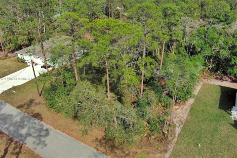 Land in Lehigh Acres, Florida № 2164293 - photo 7