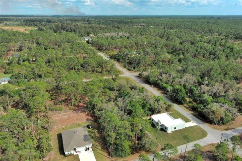 Land in Lehigh Acres, Florida № 2164293 - photo 13