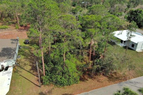 Land in Lehigh Acres, Florida № 2164293 - photo 5