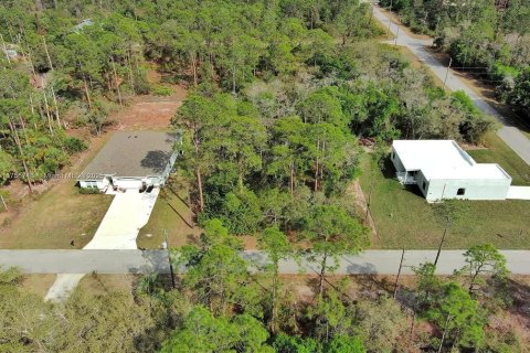 Land in Lehigh Acres, Florida № 2164293 - photo 10