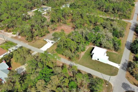 Land in Lehigh Acres, Florida № 2164293 - photo 16