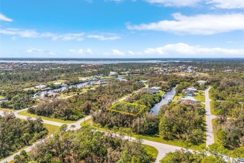 Land in Port Charlotte, Florida № 1430204 - photo 4