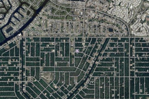 Land in Port Charlotte, Florida № 2195258 - photo 3