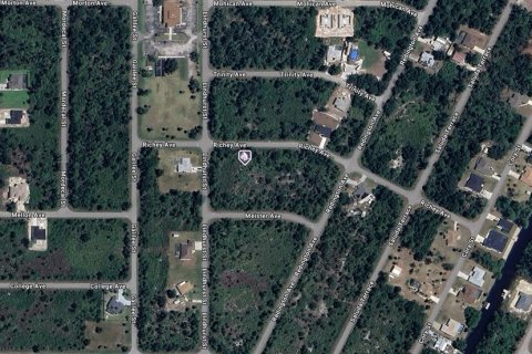 Land in Port Charlotte, Florida № 2195258 - photo 2