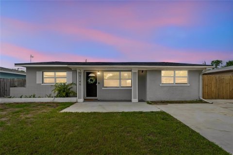House in Seminole, Florida 3 bedrooms, 164.44 sq.m. № 2225436