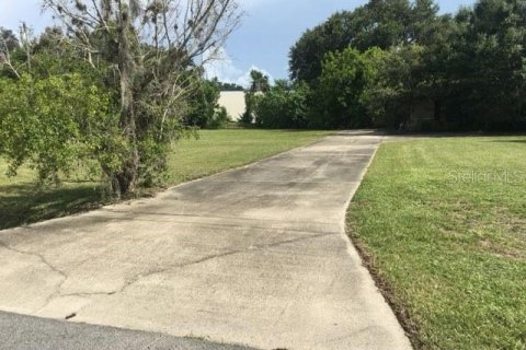 Commercial property in Nokomis, Florida 69.49 sq.m. № 914533 - photo 4