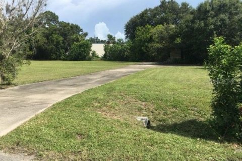 Commercial property in Nokomis, Florida 69.49 sq.m. № 914533 - photo 3