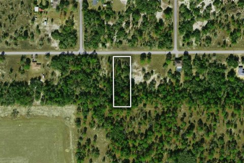Land in Dunnellon, Florida № 2159249