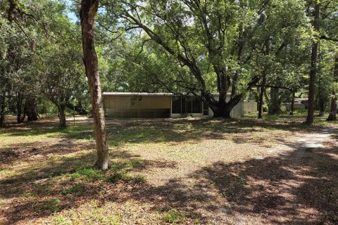 Land in Zephyrhills, Florida № 1829416 - photo 15