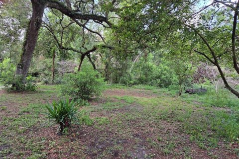 Land in Zephyrhills, Florida № 1829416 - photo 1