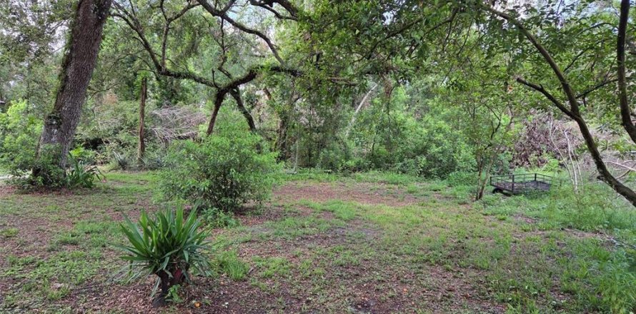 Land in Zephyrhills, Florida № 1829416