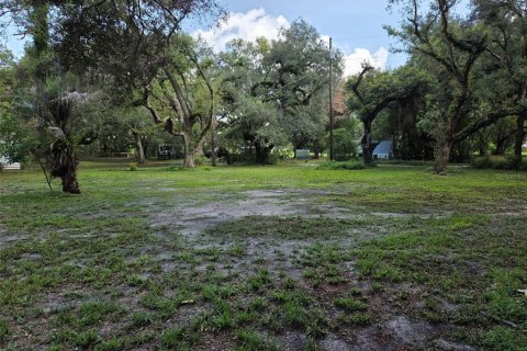 Land in Zephyrhills, Florida № 1829416 - photo 3