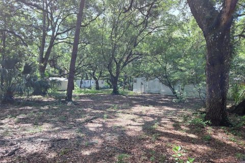 Land in Zephyrhills, Florida № 1829416 - photo 11