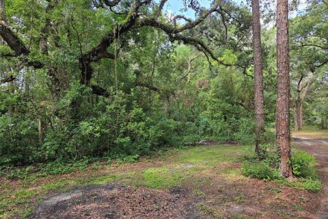 Land in Zephyrhills, Florida № 1829416 - photo 6