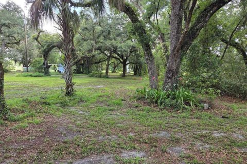 Land in Zephyrhills, Florida № 1829416 - photo 2