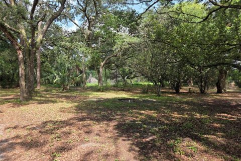 Land in Zephyrhills, Florida № 1829416 - photo 7