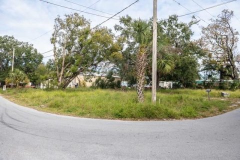 Terreno en venta en Lakeland, Florida № 1536012 - foto 5
