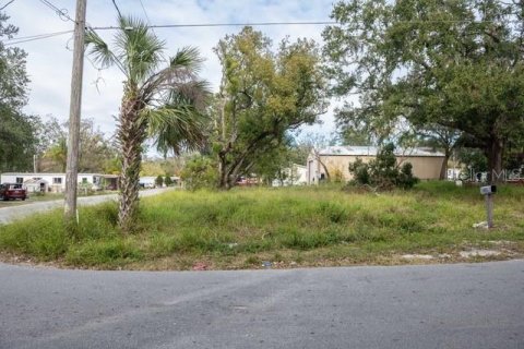 Terreno en venta en Lakeland, Florida № 1536012 - foto 4