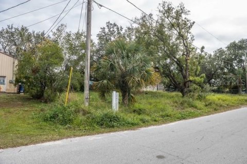 Terreno en venta en Lakeland, Florida № 1536012 - foto 7