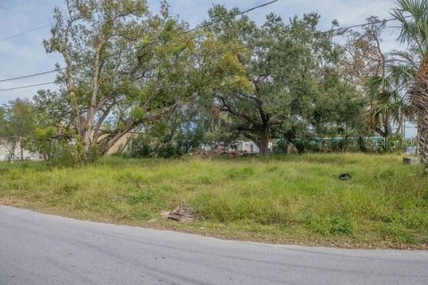 Terreno en venta en Lakeland, Florida № 1536012 - foto 6