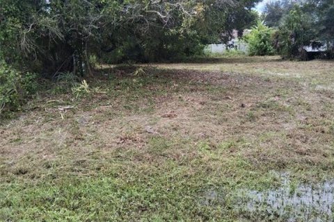 Land in Fort Myers, Florida № 2195231