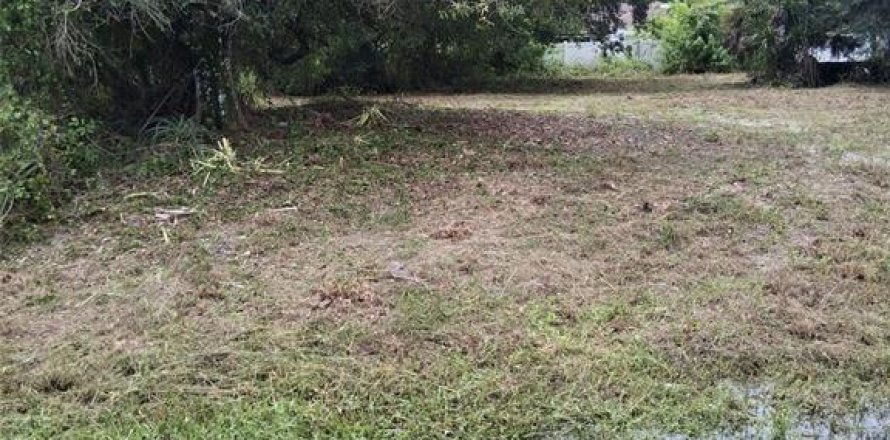 Terreno en Fort Myers, Florida № 2195231