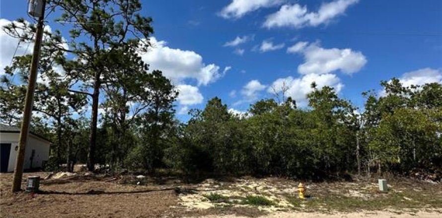 Land in Dunnellon, Florida № 2212630