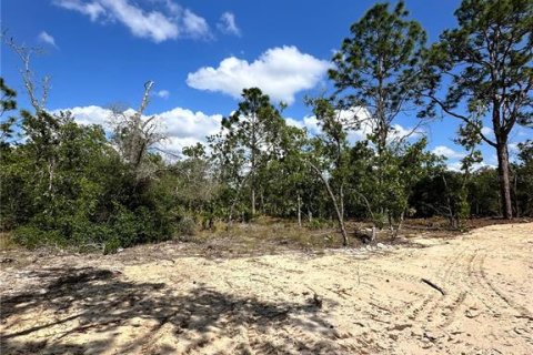 Land in Dunnellon, Florida № 2212630 - photo 2