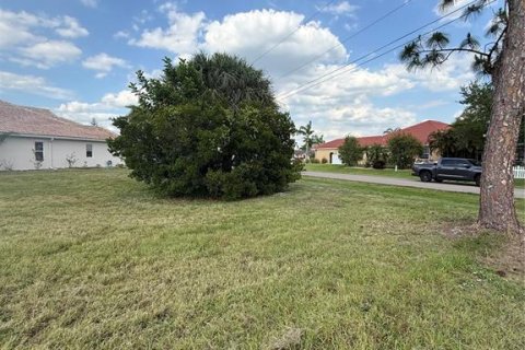 Land in Punta Gorda, Florida № 2166073 - photo 5