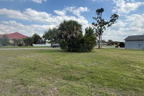 Land in Punta Gorda, Florida № 2166073 - photo 2