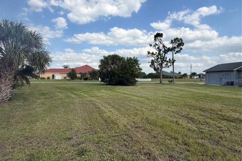 Land in Punta Gorda, Florida № 2166073 - photo 3