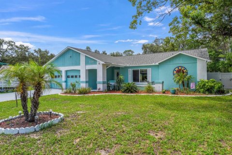 Villa ou maison à vendre à Spring Hill, Floride: 3 chambres, 179.49 m2 № 1824705 - photo 2