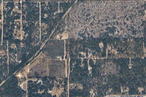Land in Dunnellon, Florida № 2219187