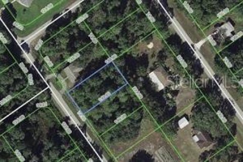 Land in Lake Placid, Florida № 2207068