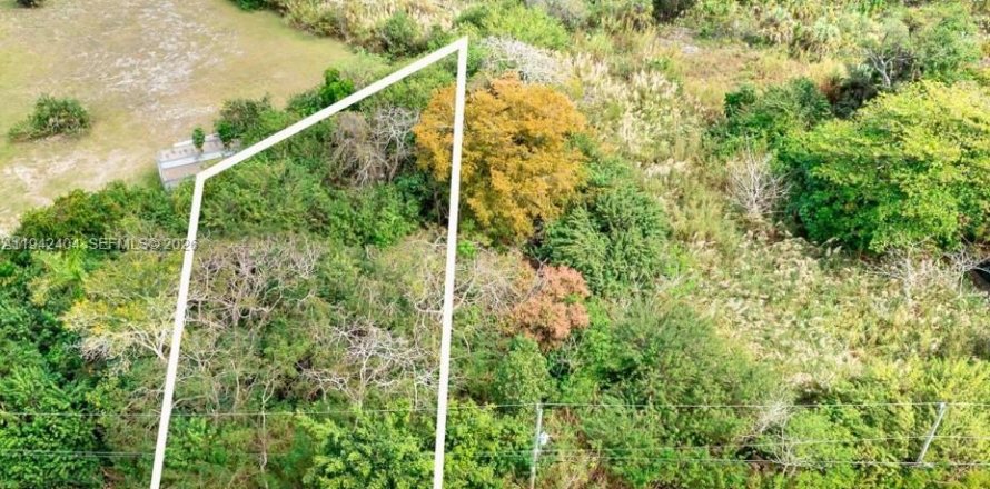 Terreno en Miami, Florida № 1999947