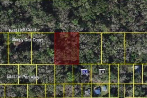 Land in Inverness, Florida № 2159562