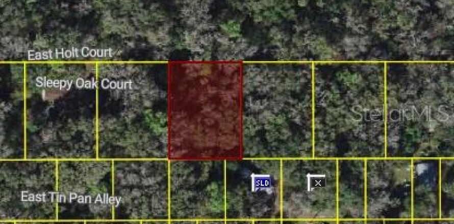 Land in Inverness, Florida № 2159562