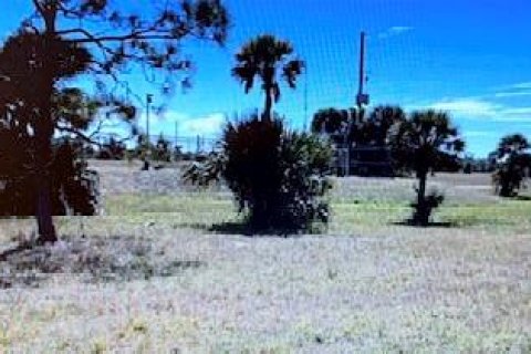 Land in Placida, Florida № 2162717