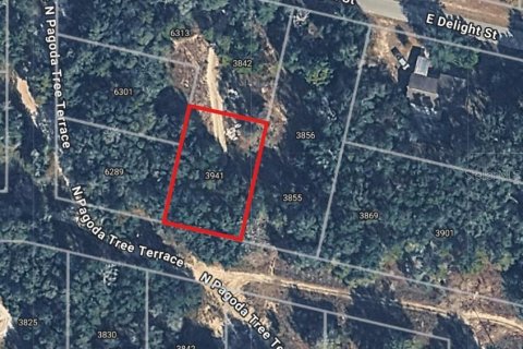 Land in Hernando, Florida № 2351512