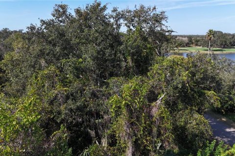 Land in Punta Gorda, Florida № 2162871 - photo 15