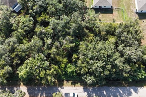 Land in Punta Gorda, Florida № 2162871