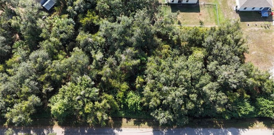 Land in Punta Gorda, Florida № 2162871