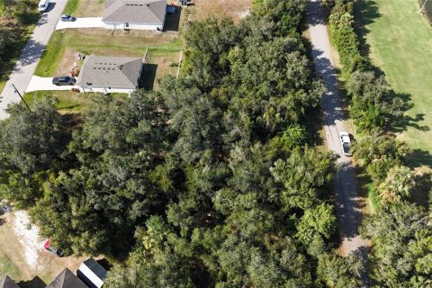 Land in Punta Gorda, Florida № 2162871 - photo 4
